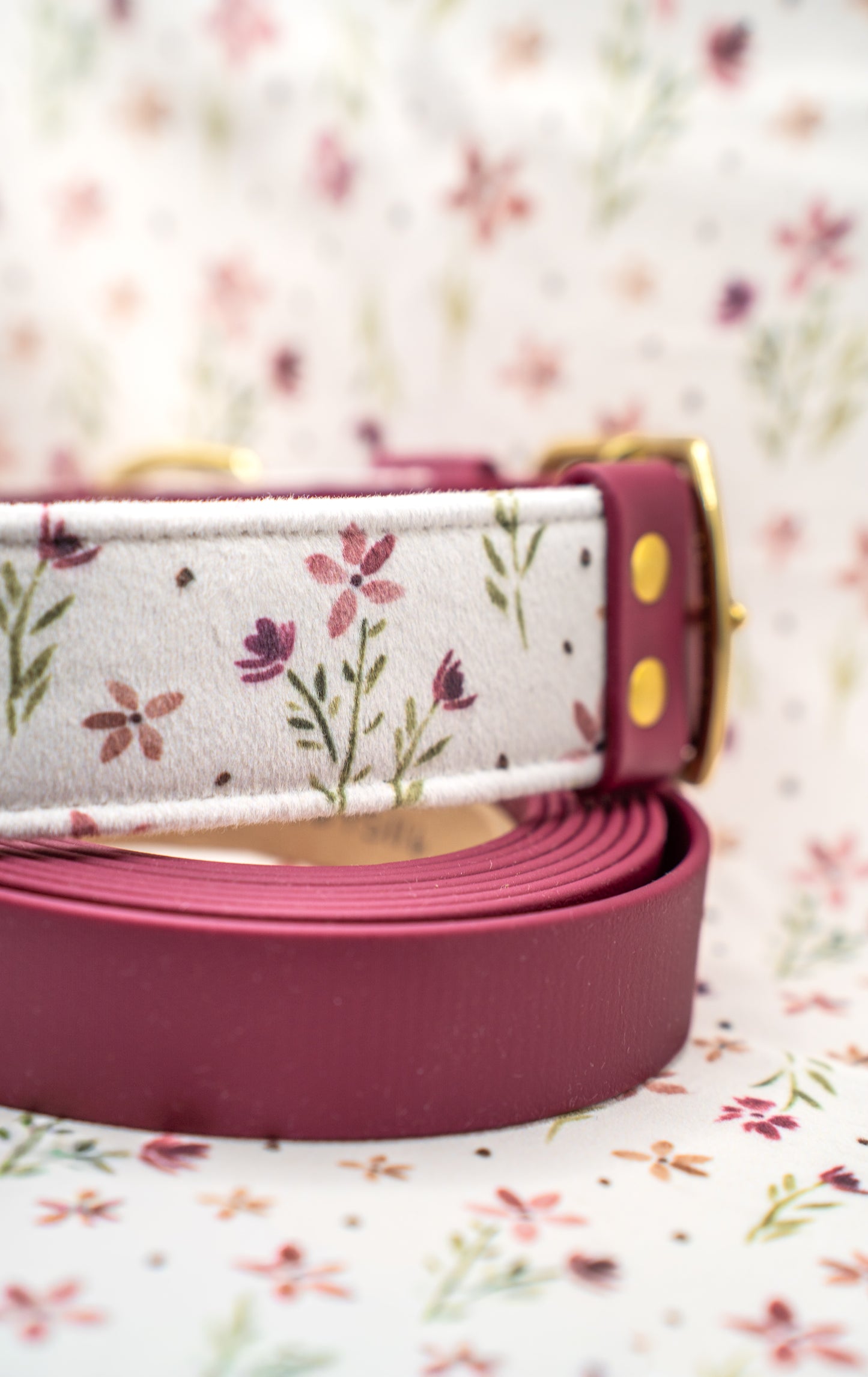 Merlot Velvet Collar