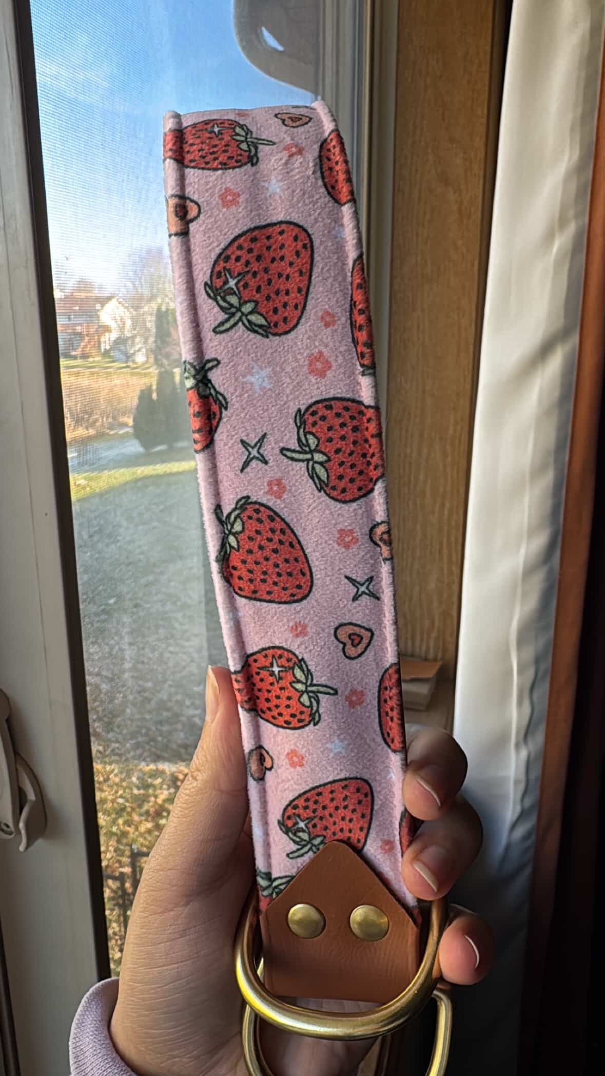 Berry Sweet Velvet Collar