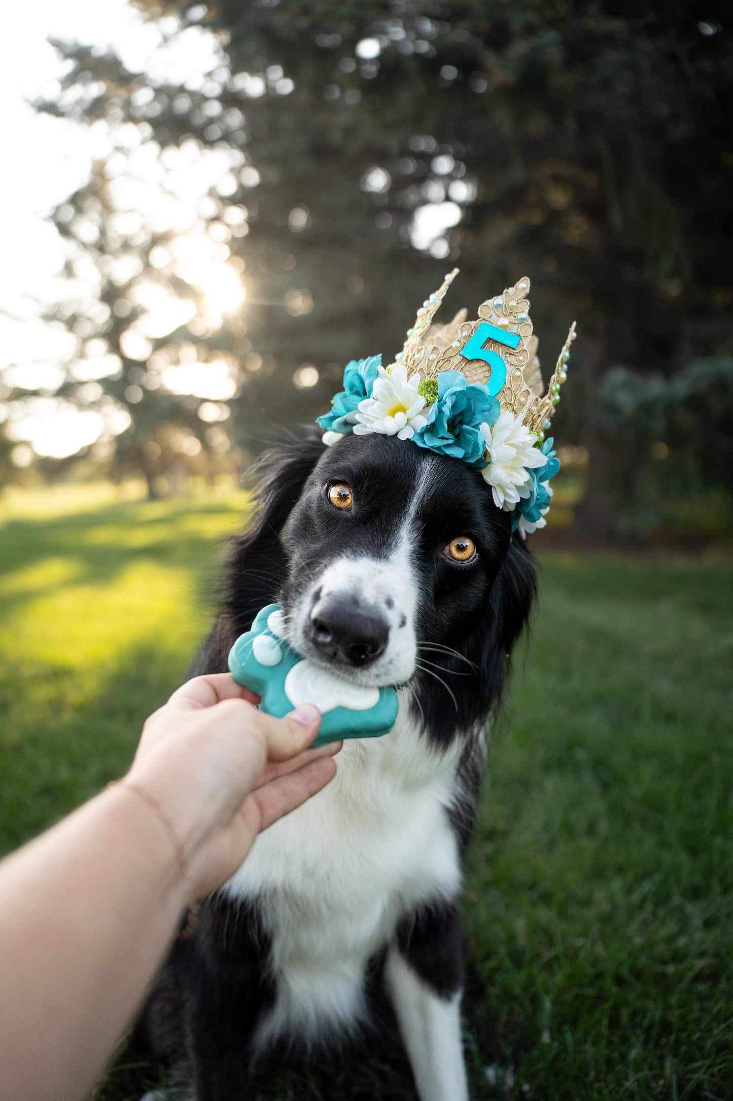 Birthday Flower Crown