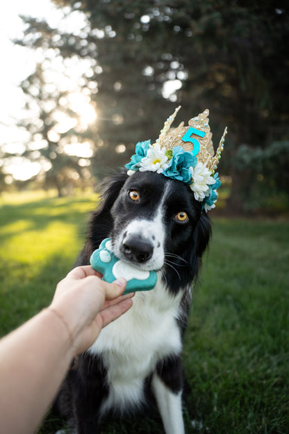 Birthday Flower Crown