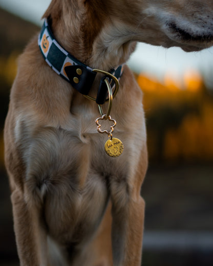 Goofy Gourds Velvet Collar