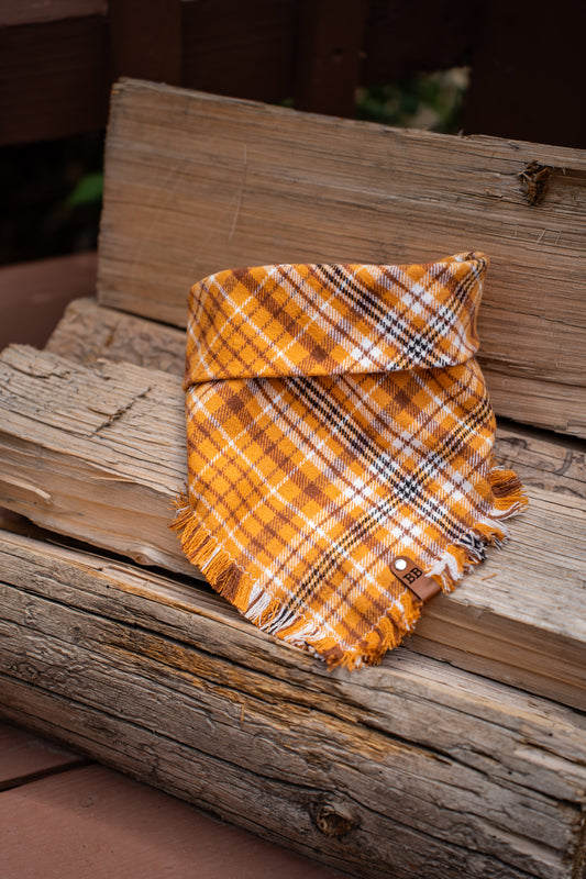 Stem Cider Bandana