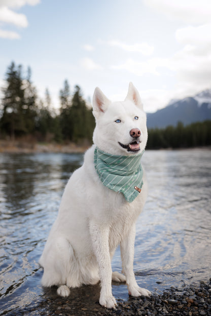 Minty Sage Bandana