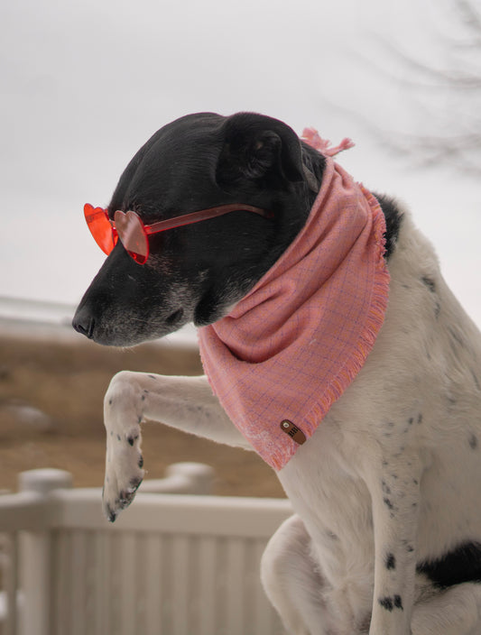 Blush Bandana