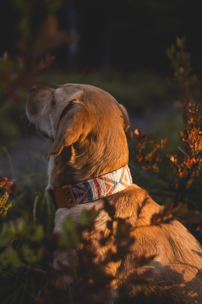 Tropical Wool Collar