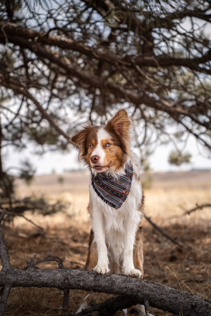 Timberline Bandana