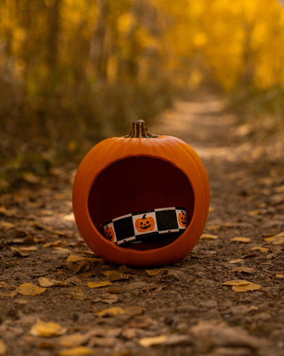 Goofy Gourds Velvet Collar