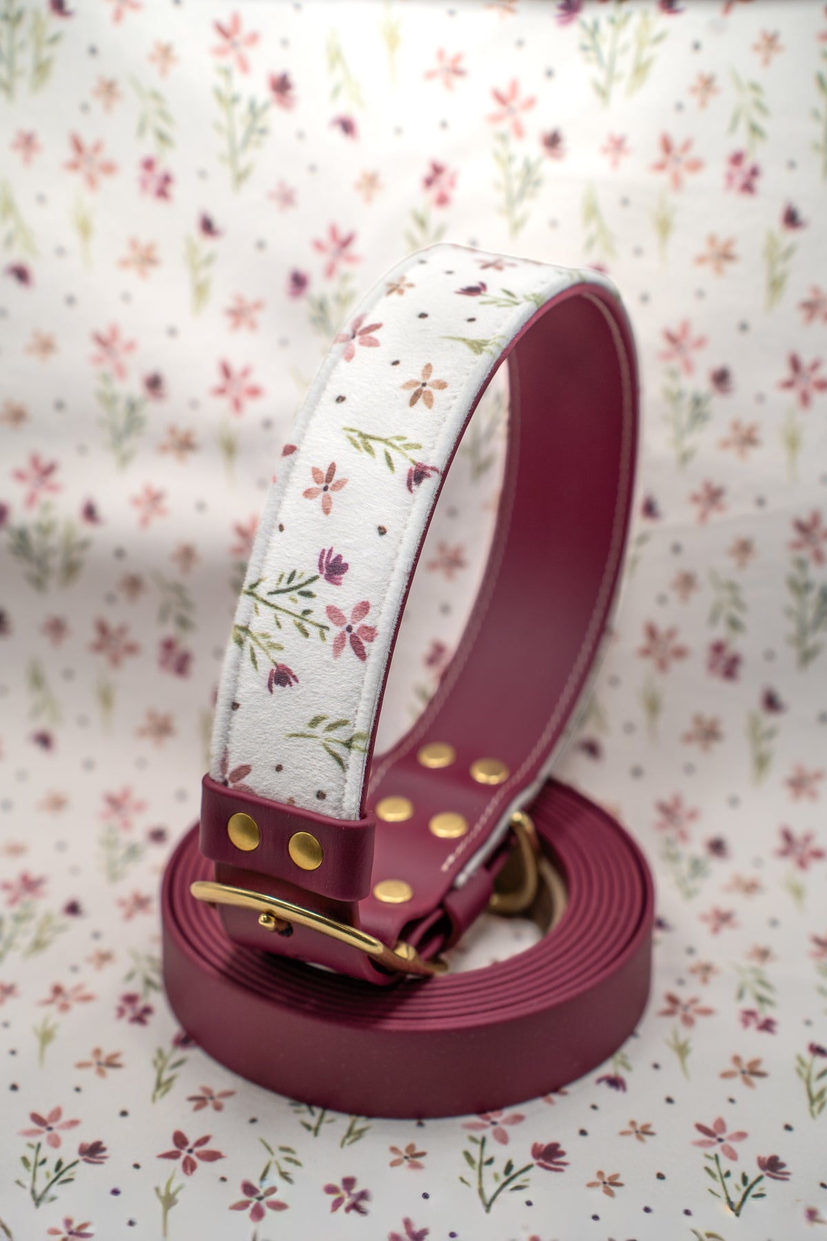 Merlot Velvet Collar