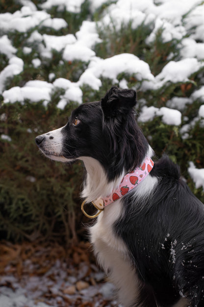 Berry Sweet Velvet Collar