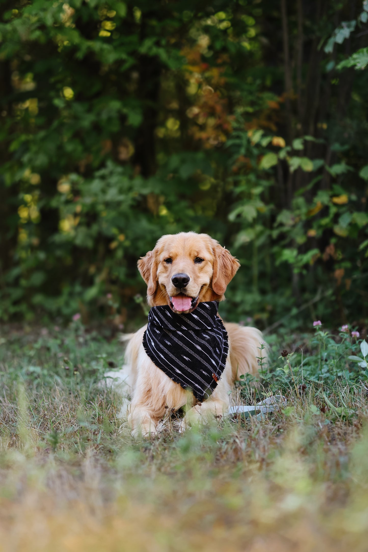Rayback Bandana