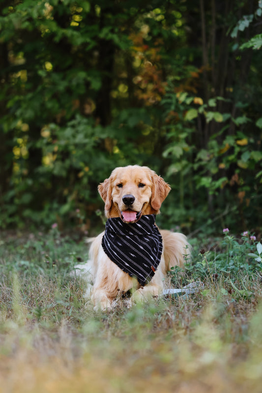 Rayback Bandana