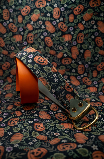 Haunted Harvest Velvet Collar
