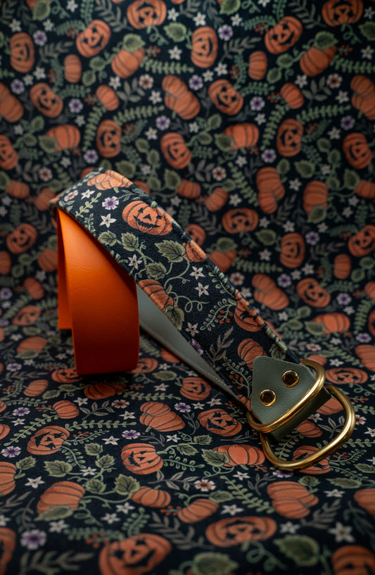 Haunted Harvest Velvet Collar