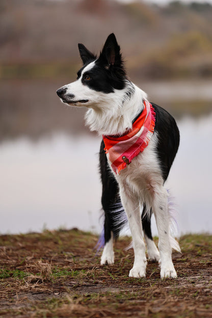 Lover’s Picnic Bandana