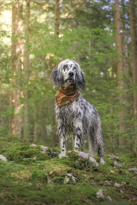 Foliage Bandana