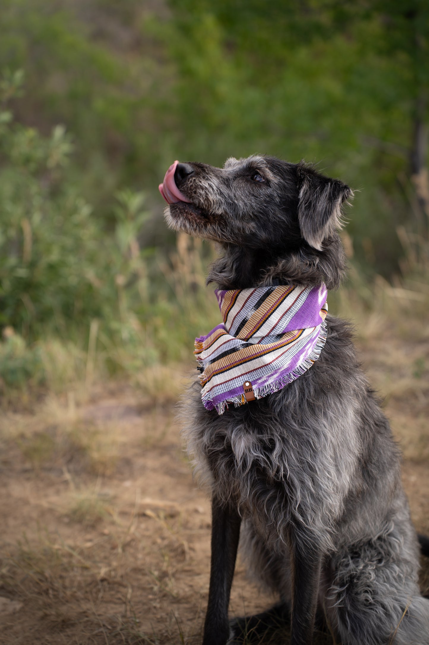 Lavender Haze Bandana