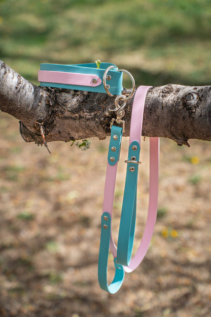 Collar and Leash Bundle