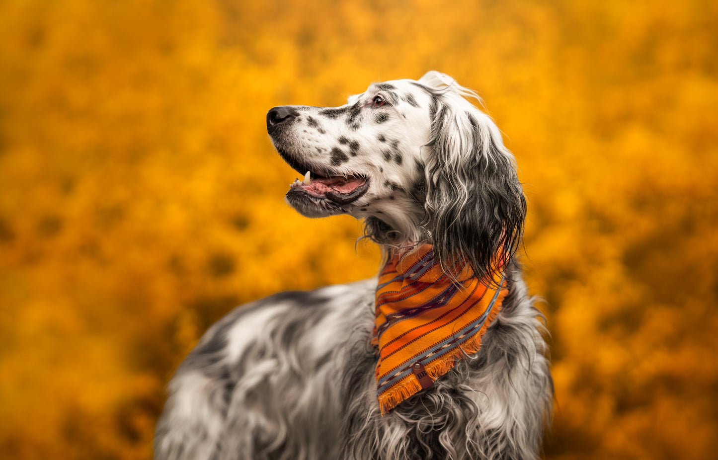 Pineapple Express Bandana