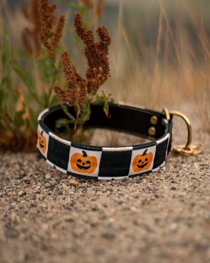 Goofy Gourds Velvet Collar