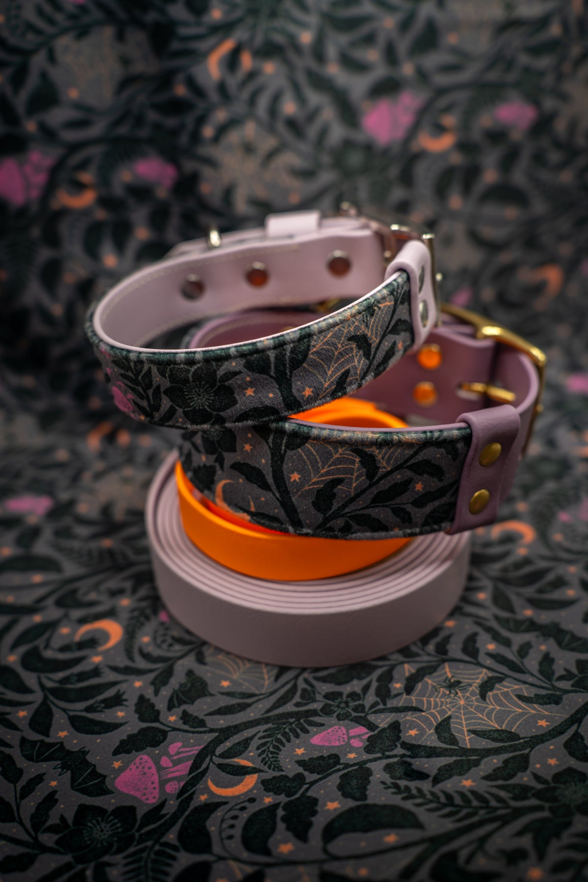 Midnight Magic Velvet Collar