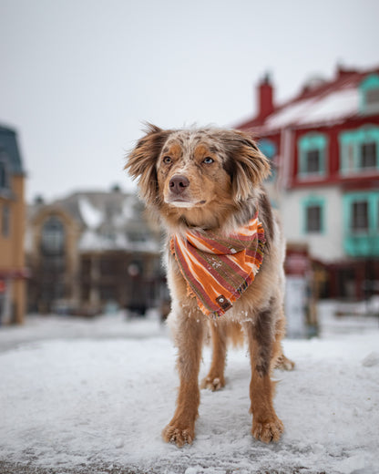 Vail Bandana