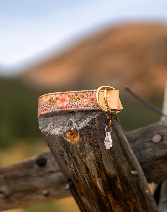 Boho Blooms Velvet Collar