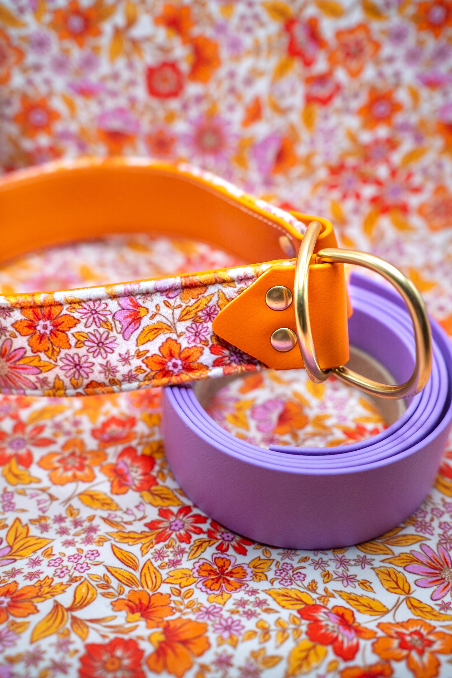 Valencia Velvet Collar