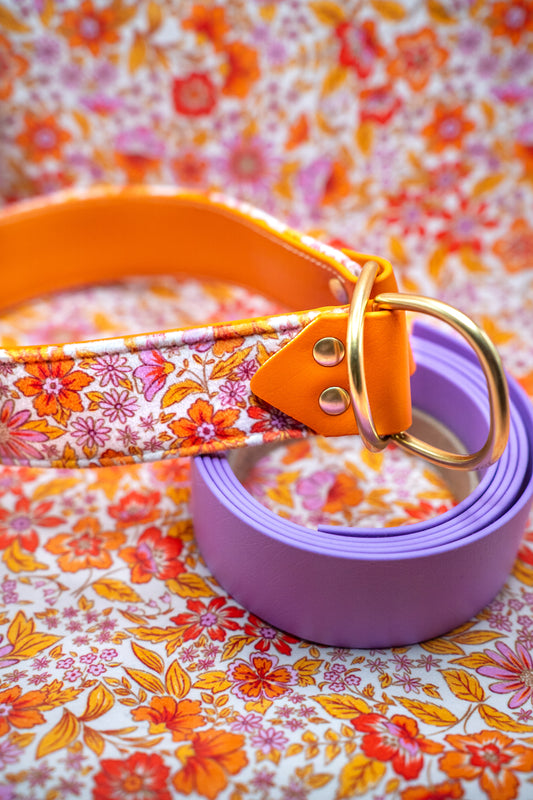 Valencia Velvet Collar