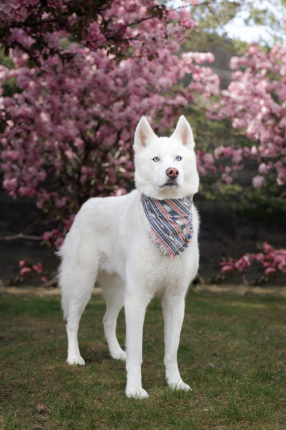 Sky Pond Bandana