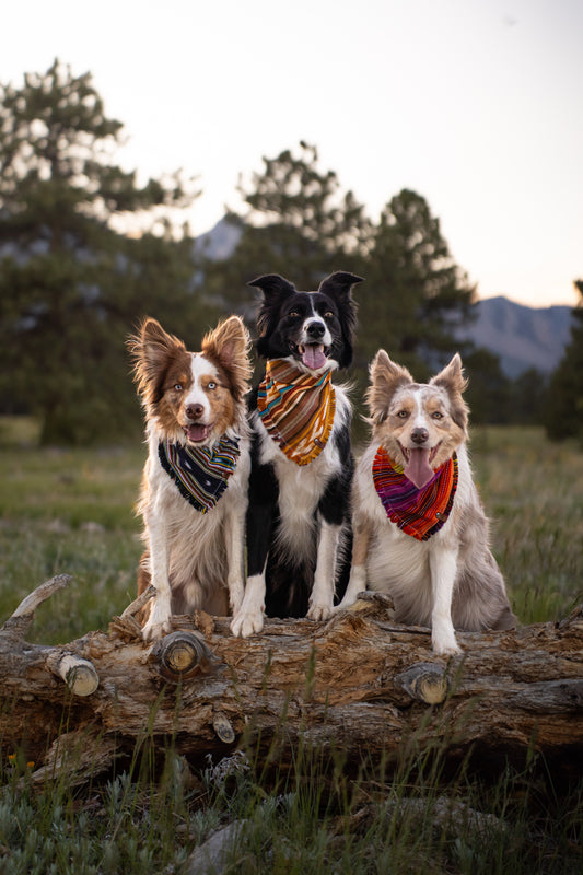Sunset Bandana