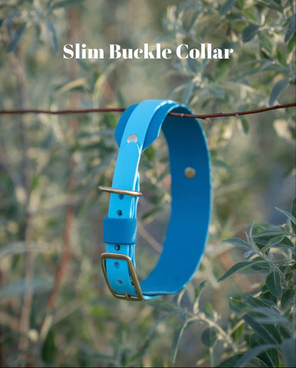 Collar and Leash Bundle
