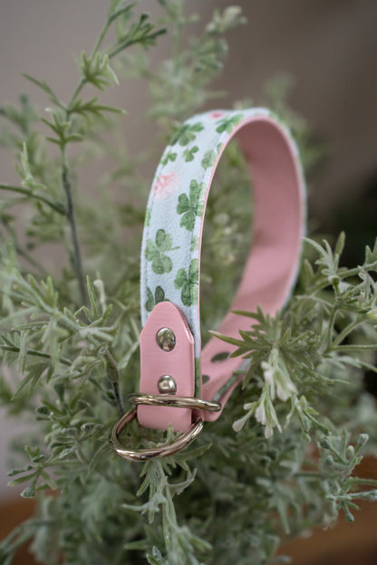 Lucky Charm Velvet Collar