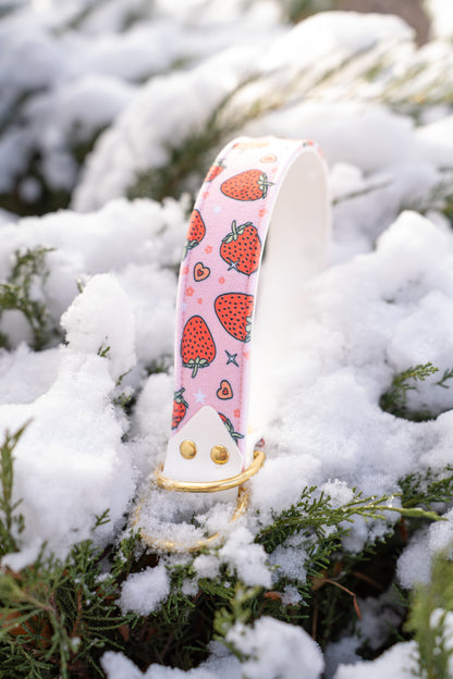Berry Sweet Velvet Collar