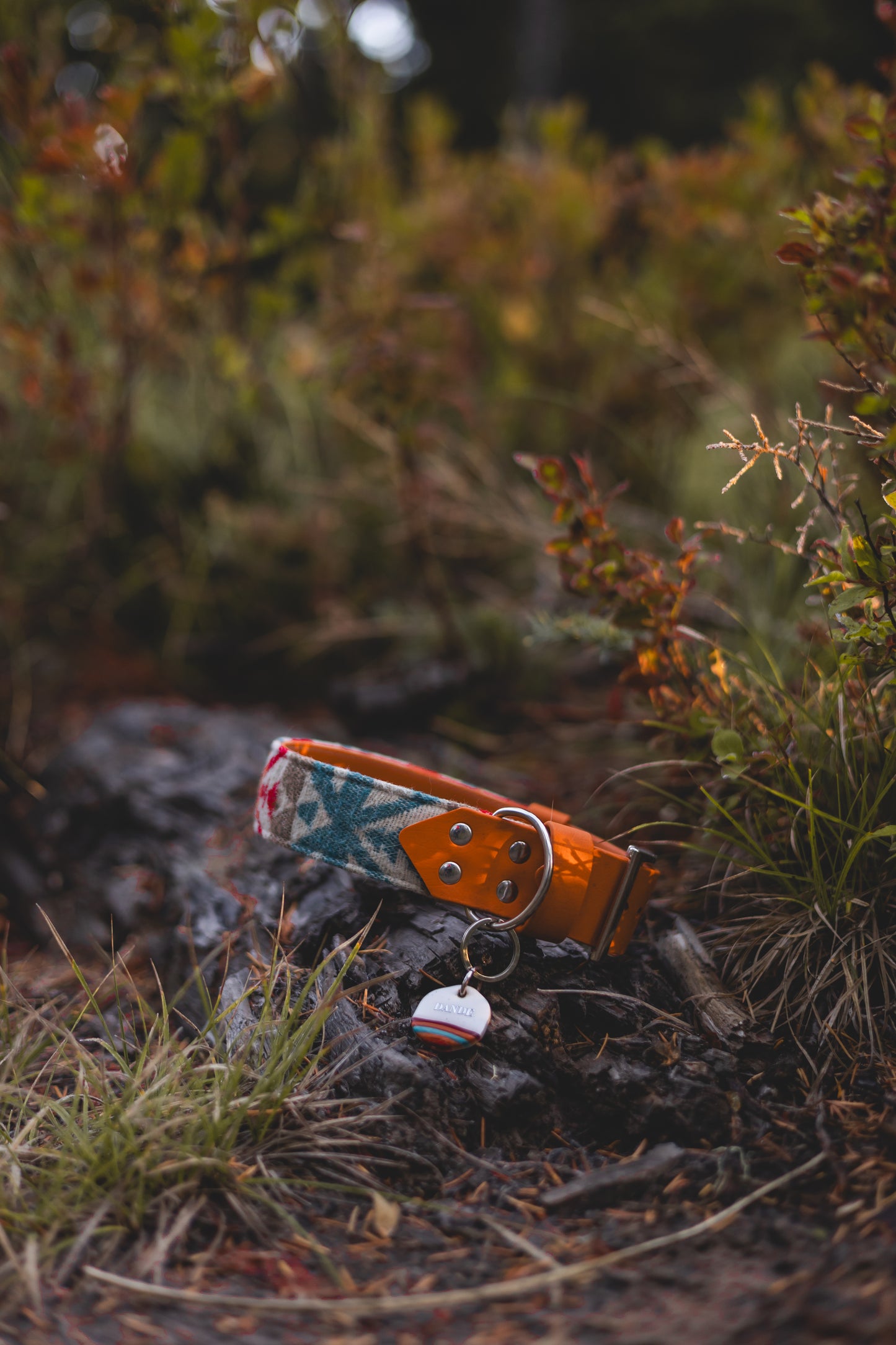 Tropical Wool Collar