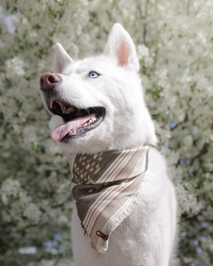 Lupine Bandana