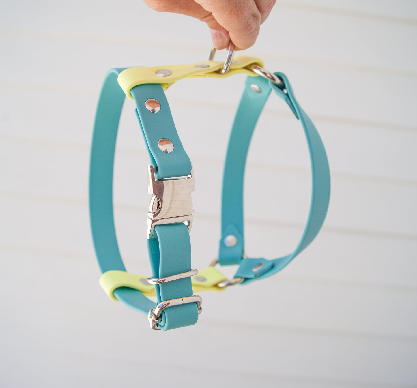 Y-Front Harness