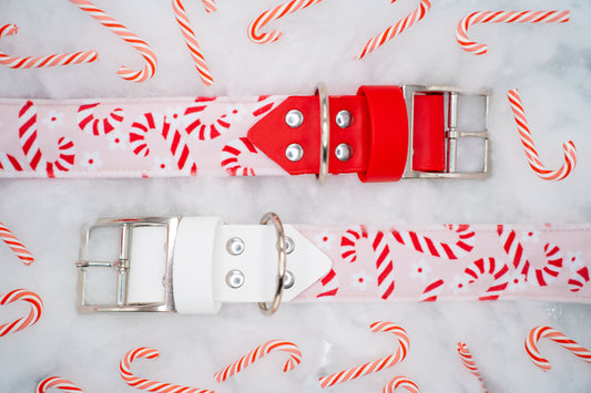 Peppermint Velvet Collar