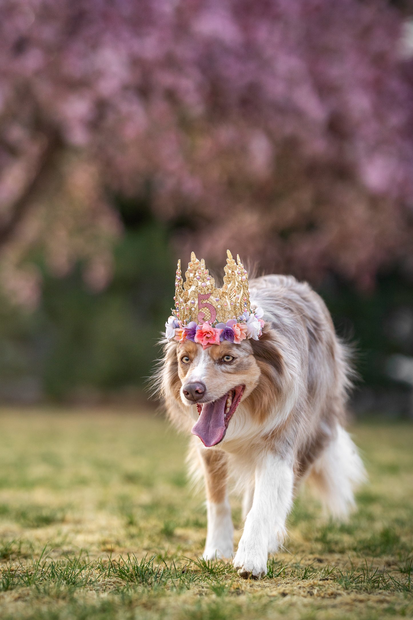 Birthday Flower Crown
