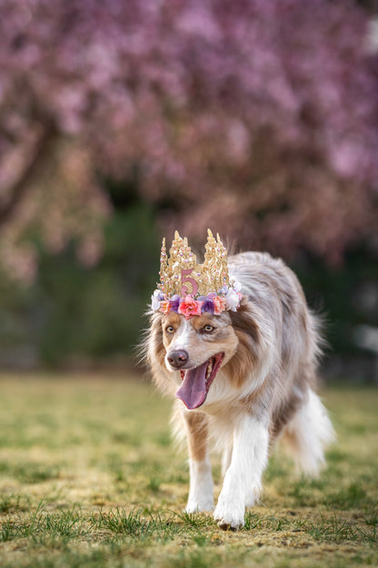 Birthday Flower Crown