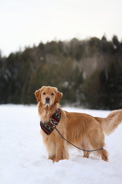 Yellowstone Bandana