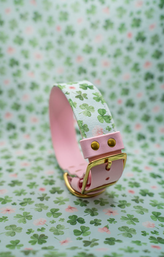 Lucky Charm Velvet Collar