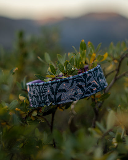Midnight Magic Velvet Collar