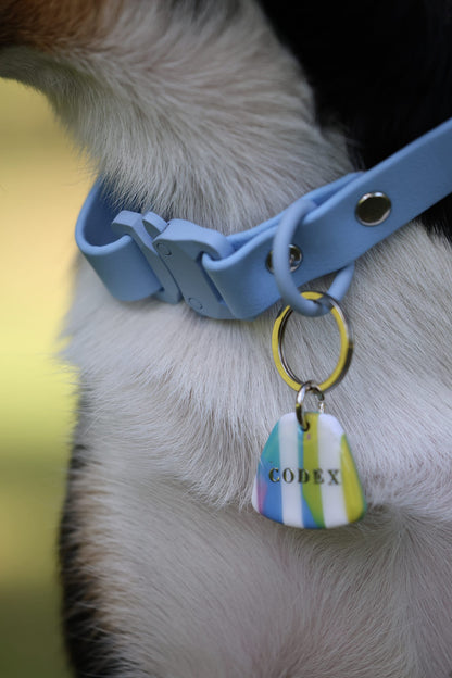 Quick Release Collar