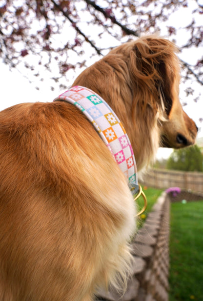 Happy Hippie Velvet Collar
