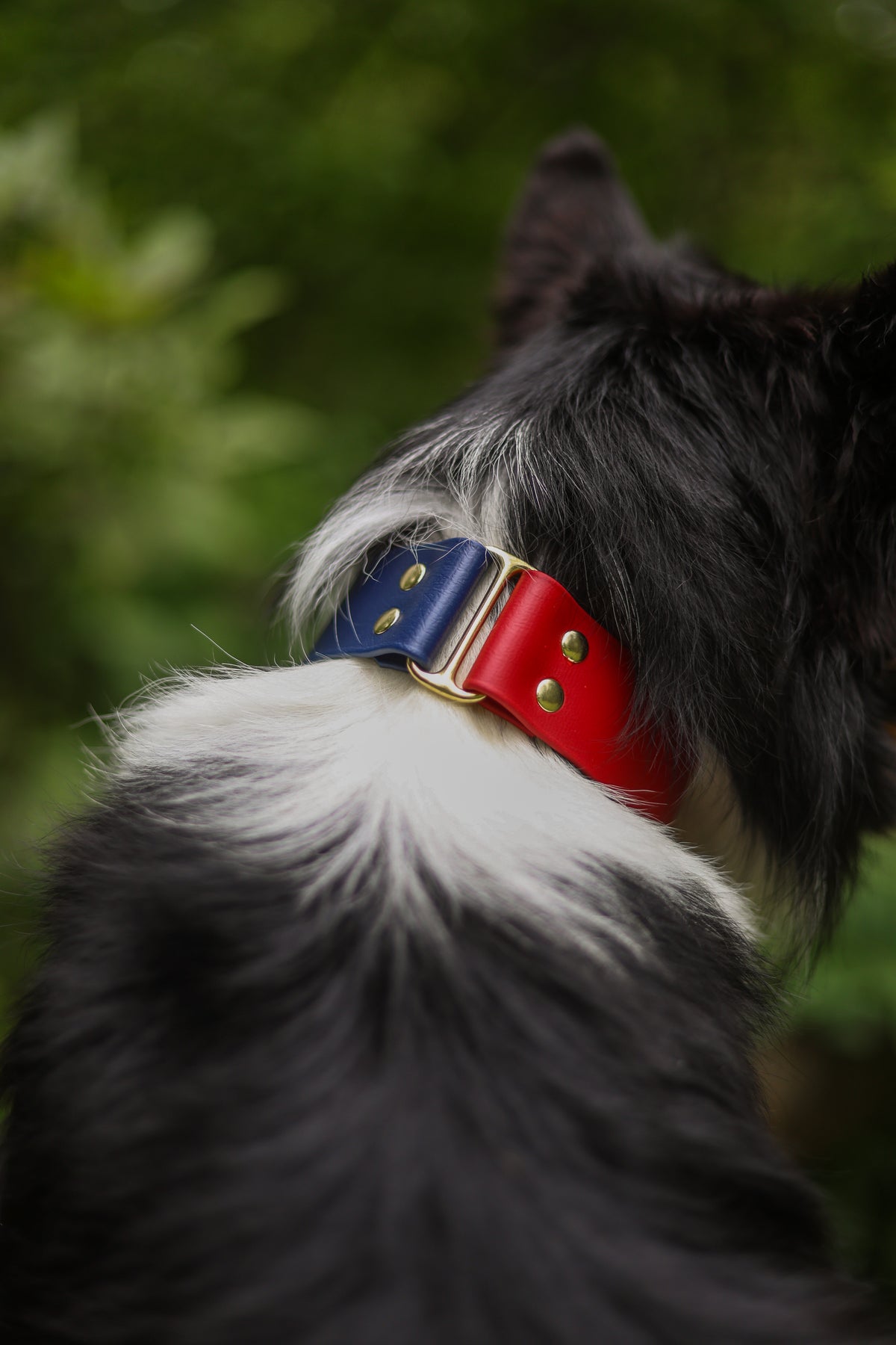 Trek Collar