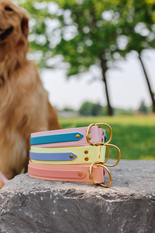 Double Layer Adventure Collar