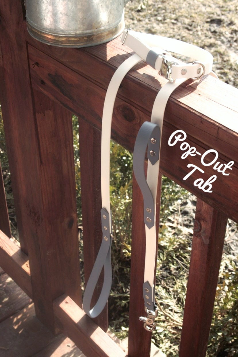 All-In-One Leash