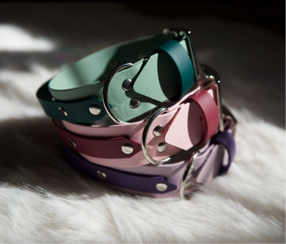 Roam Collar