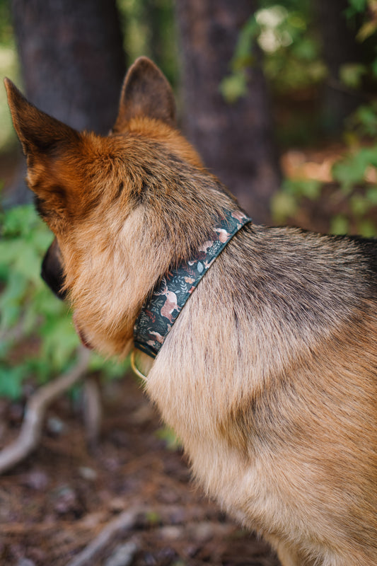 Woodland Velvet Collar