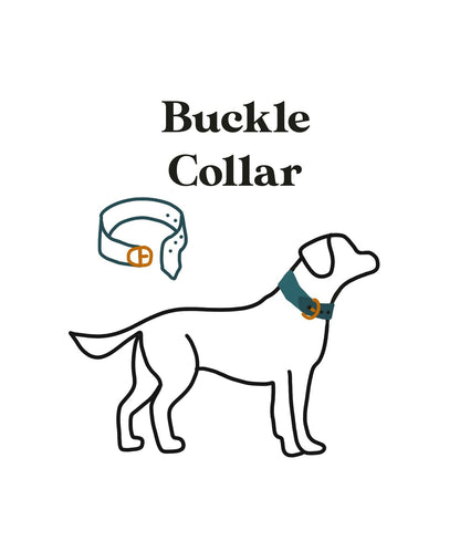 Bats Velvet Collar